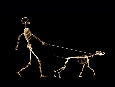 Human Skeleton Holding Leash Of Skeleton Dog Illustration