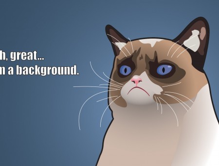 Oh, Great Im A Background Grumpy Cat Meme