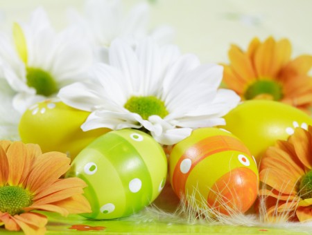 White Daisy On Top Of Easter Eggs