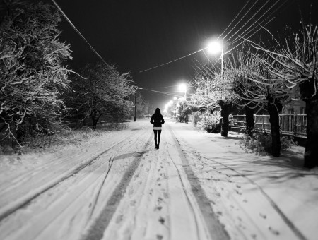 Snow Pathway In Grayscale Photo