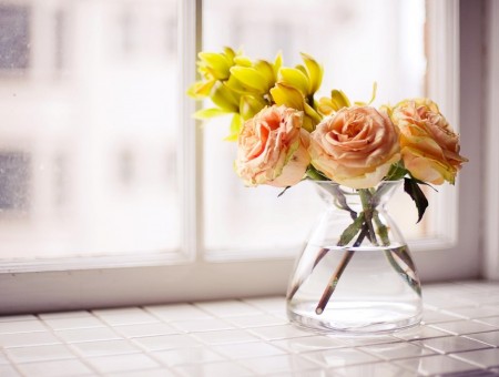 Orange Roses And Yellow Tulips On Clear Glass Vase With Water In Front Of The Window