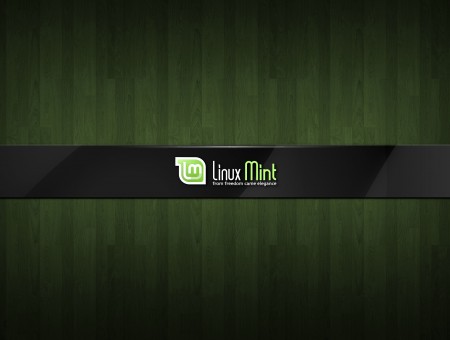 Linux Mint Text
