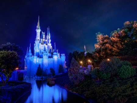 Lighte Disney Castle Near Trees