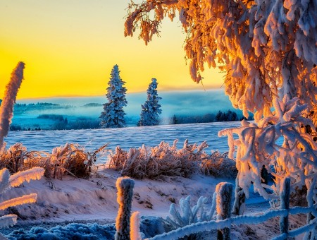 Sunset Over Snow Covered Field