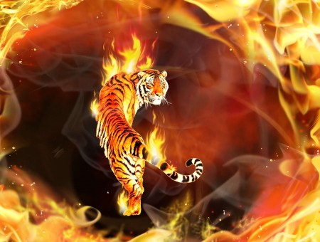 Tiger Animal Between Fire