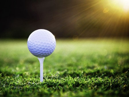 Golf Ball On Stick Above Green Grass