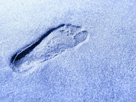 Print of a Foot upon the Sand