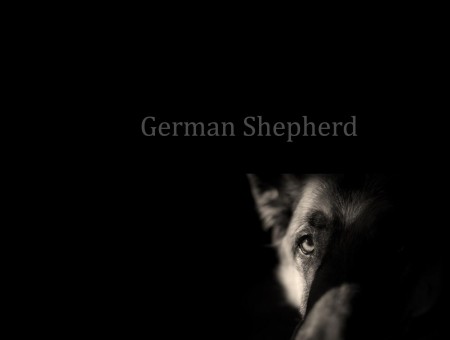 German Shepherd Text