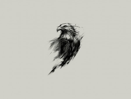 Black and white eagle illustration