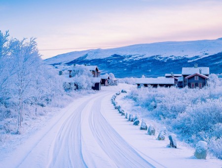 White snow road