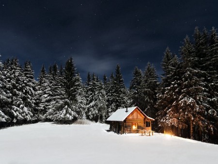 Brown wooden cabin during winter season