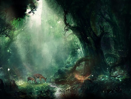 Fantasy forest