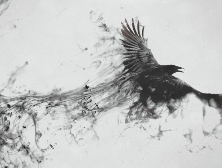 Abstraction of a black crow