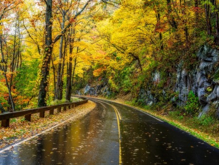Autumn highway road
