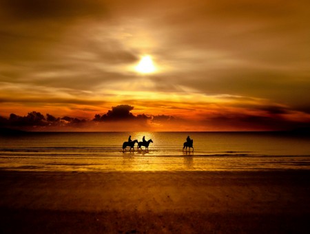 Rider on horseback on the beach