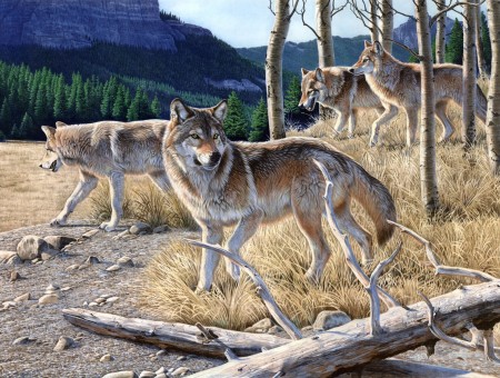Wolves in the background of mountains and forests