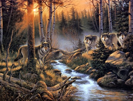 Art Wolves Forest River