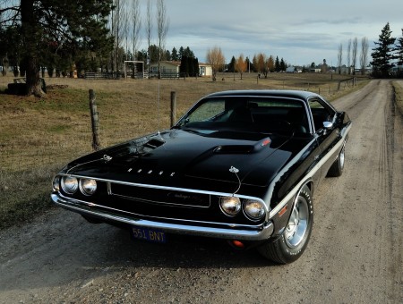 Old black muscle car on road