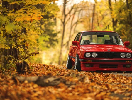 Red BMW M30 in autumn park