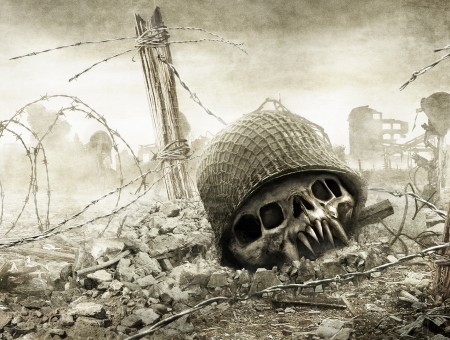 Strange skull on the field of war