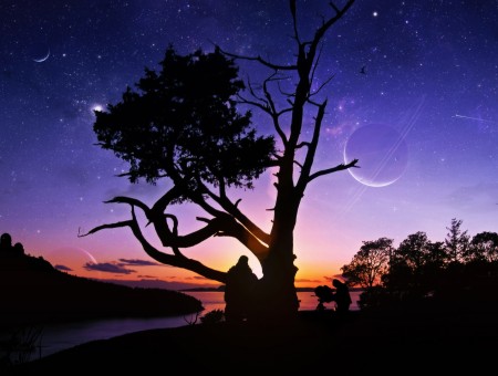 Lonely tree and beautiful sky