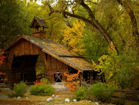 Abandoned farm in the forest