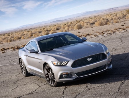 Silver Mustang GT 2015