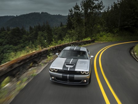 Grey Dodge Challenger on road