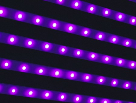 Purple neon