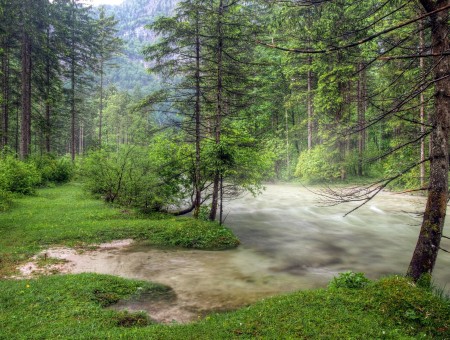 Water in forest and mountains