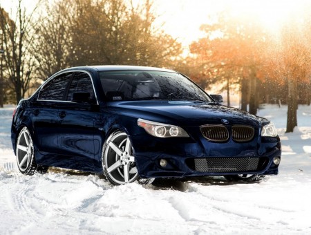 Beautiful Blue BMW on snow