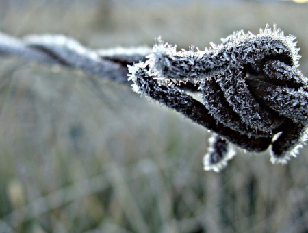 Frozen wire