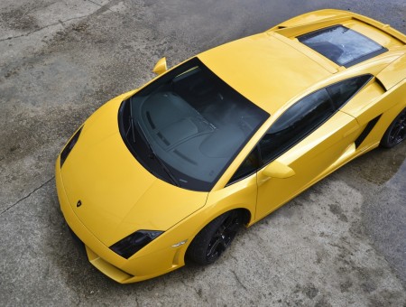 Fantstic yellow Lamborghini Gallardo