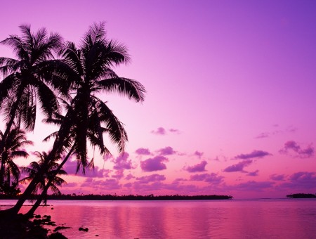 Purple sunset on Thaiti