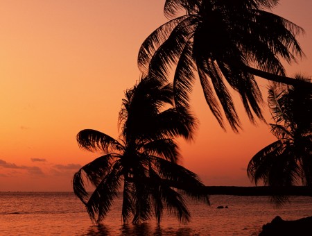 Orange sunset on tropical island