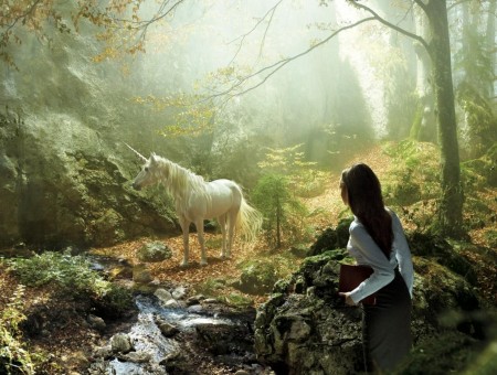 Unicorn in forest