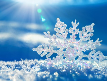 Macro  snowflake