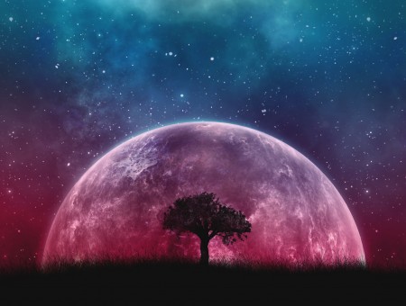 Tree and red moon