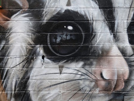 Graffiti animal on wall