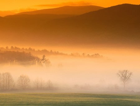 Orange fog mountains