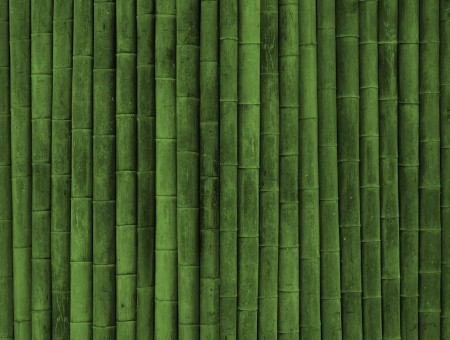 Bambooi texture wallpaper