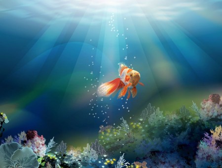 golden fish undersea