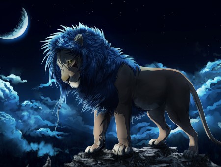 Lion at the moon