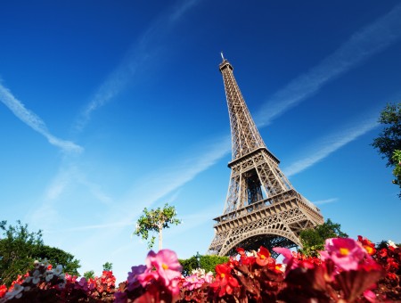 Paris flowers and the Eiffel Tower