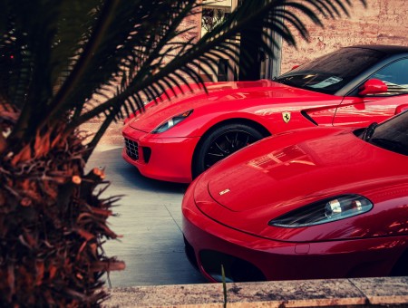 Two Red Ferrari's