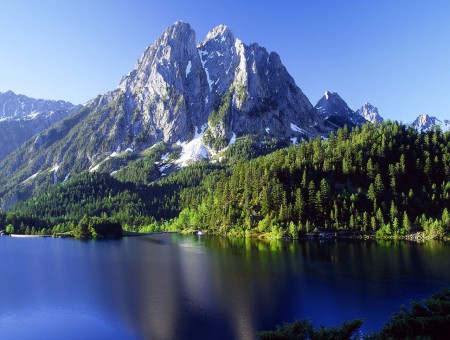 mountains and forest and lake