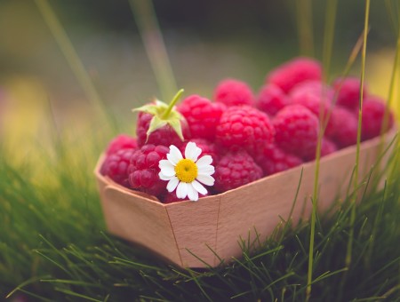 raspberry in basket