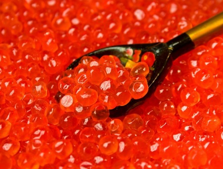 russian Red caviar 