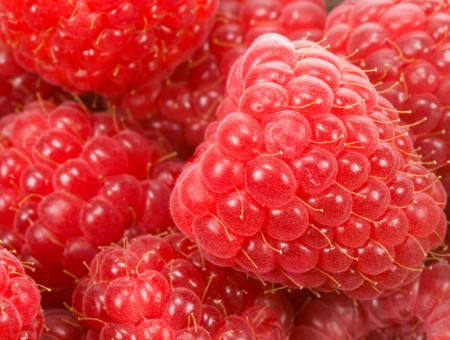 macro raspberry
