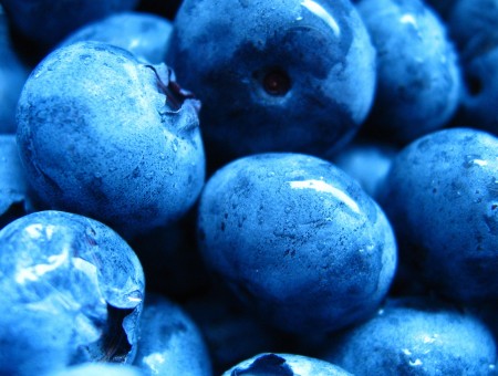 macro blueberry
